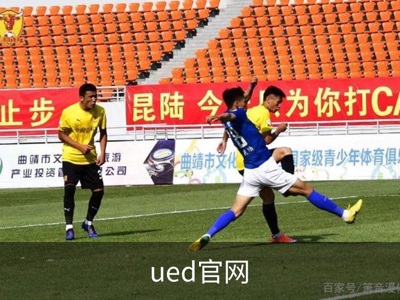 ued官网概况
